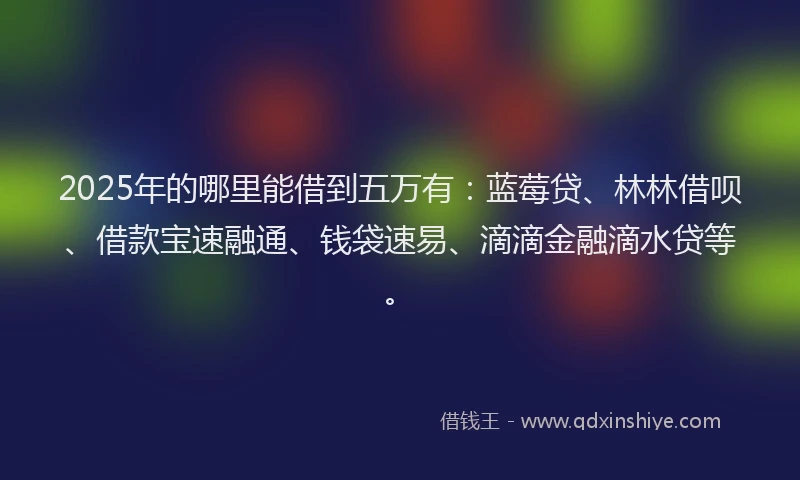 2025年的哪里能借到五万有：蓝莓贷、林林借呗、借款宝速融通、钱袋速易、滴滴金融滴水贷等。