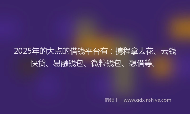2025年的大点的借钱平台有：携程拿去花、云钱快贷、易融钱包、微粒钱包、想借等。