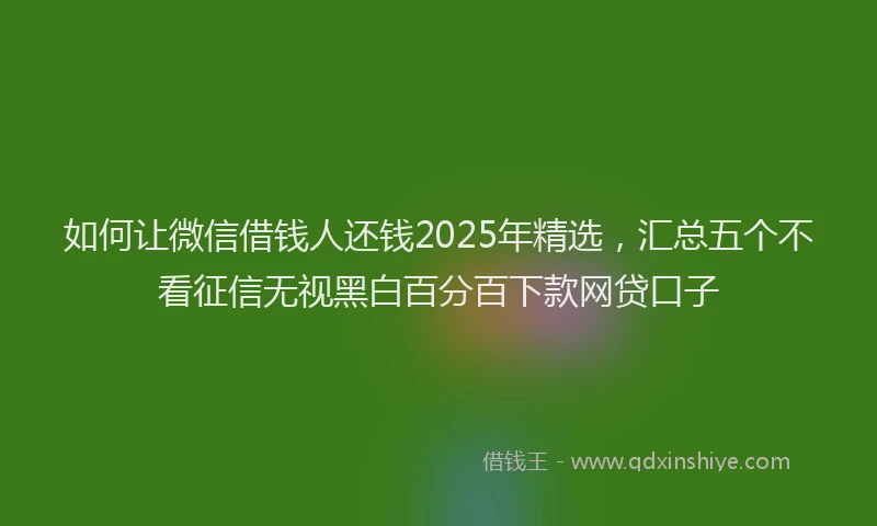 如何让微信借钱人还钱2025年精选，汇总五个不看征信无视黑白百分百下款网贷口子