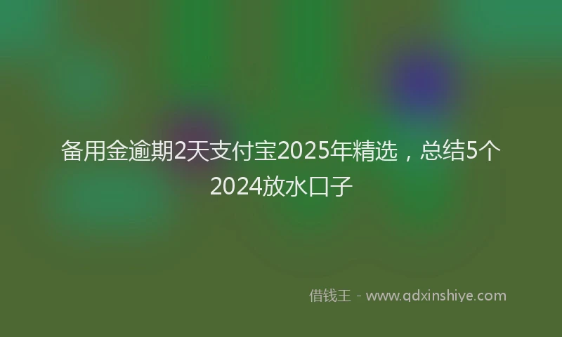 备用金逾期2天支付宝2025年精选，总结5个2024放水口子