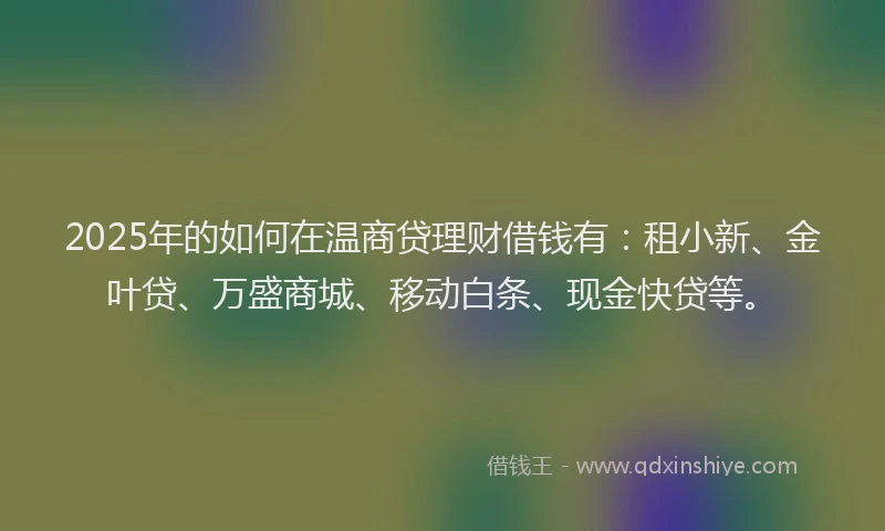 2025年的如何在温商贷理财借钱有：租小新、金叶贷、万盛商城、移动白条、现金快贷等。