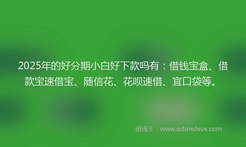 2025年的好分期小白好下款吗有：借钱宝盒、借款宝速借宝、随信花、花呗速借、宜口袋等。
