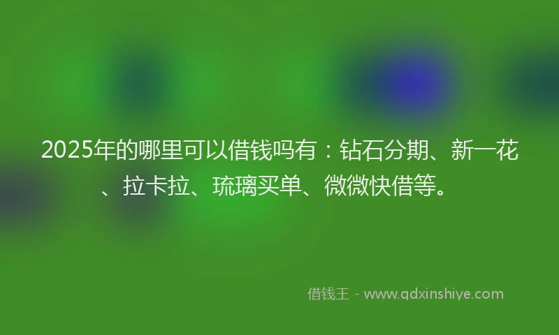 2025年的哪里可以借钱吗有：钻石分期、新一花、拉卡拉、琉璃买单、微微快借等。