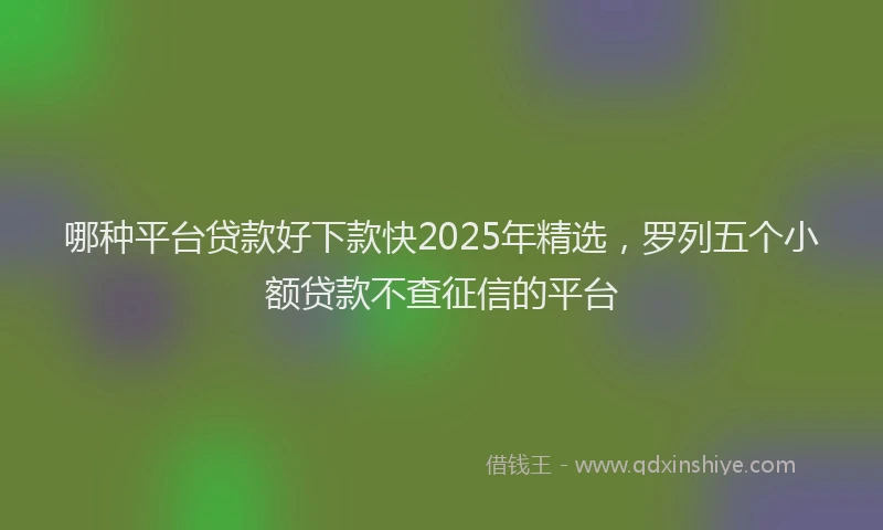哪种平台贷款好下款快2025年精选，罗列五个小额贷款不查征信的平台