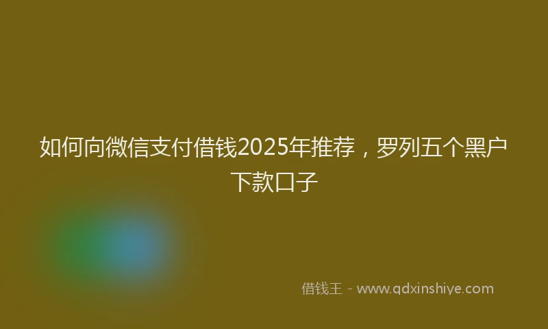 如何向微信支付借钱2025年推荐，罗列五个黑户下款口子