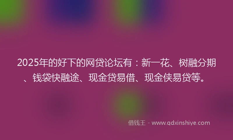2025年的好下的网贷论坛有：新一花、树融分期、钱袋快融途、现金贷易借、现金侠易贷等。