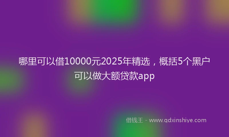 哪里可以借10000元2025年精选，概括5个黑户可以做大额贷款app