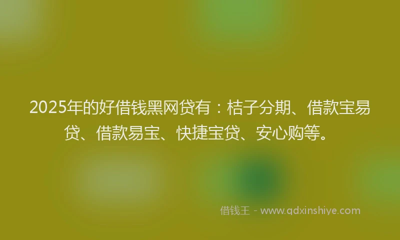 2025年的好借钱黑网贷有：桔子分期、借款宝易贷、借款易宝、快捷宝贷、安心购等。