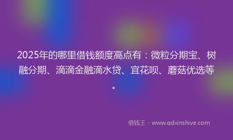 2025年的哪里借钱额度高点有：微粒分期宝、树融分期、滴滴金融滴水贷、宜花呗、蘑菇优选等。