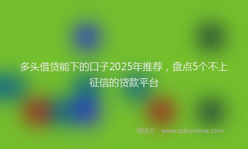 多头借贷能下的口子2025年推荐，盘点5个不上征信的贷款平台