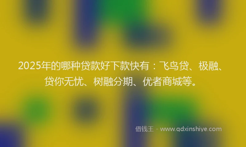 2025年的哪种贷款好下款快有：飞鸟贷、极融、贷你无忧、树融分期、优者商城等。