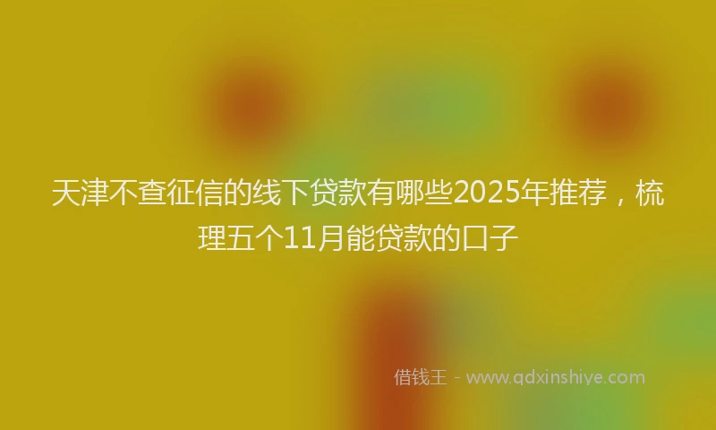 天津不查征信的线下贷款有哪些2025年推荐，梳理五个11月能贷款的口子