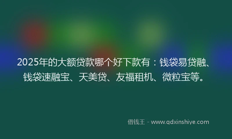 2025年的大额贷款哪个好下款有：钱袋易贷融、钱袋速融宝、天美贷、友福租机、微粒宝等。