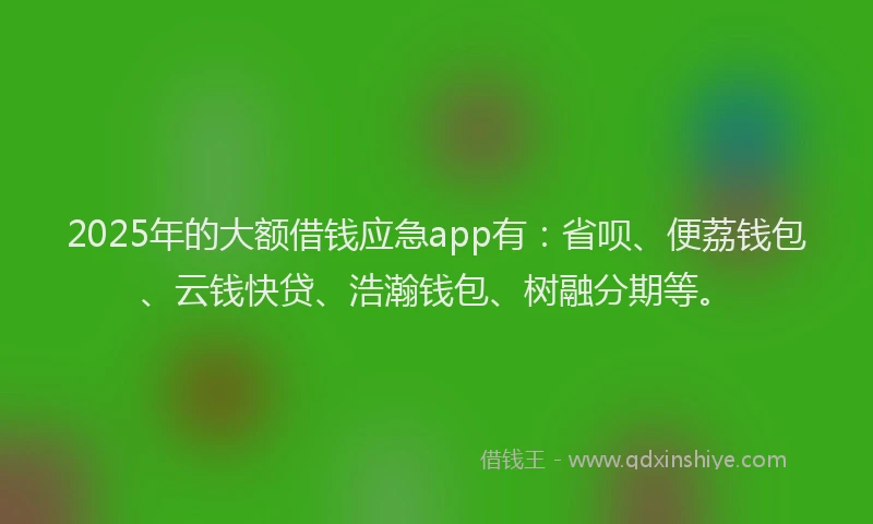 2025年的大额借钱应急app有：省呗、便荔钱包、云钱快贷、浩瀚钱包、树融分期等。