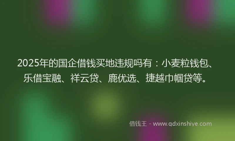 2025年的国企借钱买地违规吗有：小麦粒钱包、乐借宝融、祥云贷、鹿优选、捷越巾帼贷等。
