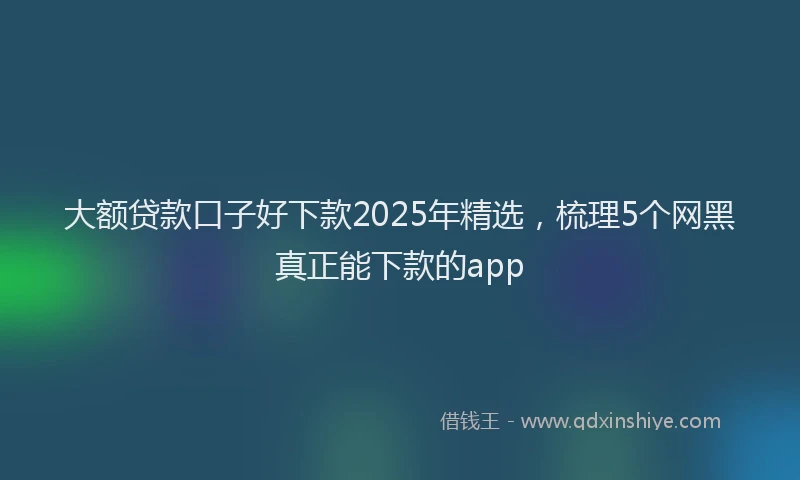 大额贷款口子好下款2025年精选，梳理5个网黑真正能下款的app