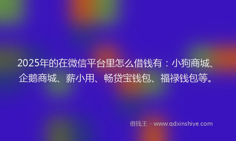 2025年的在微信平台里怎么借钱有：小狗商城、企鹅商城、薪小用、畅贷宝钱包、福禄钱包等。