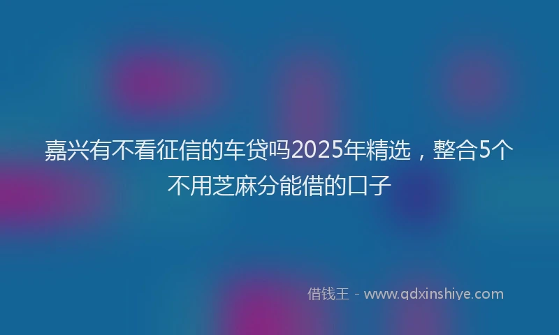 嘉兴有不看征信的车贷吗2025年精选，整合5个不用芝麻分能借的口子