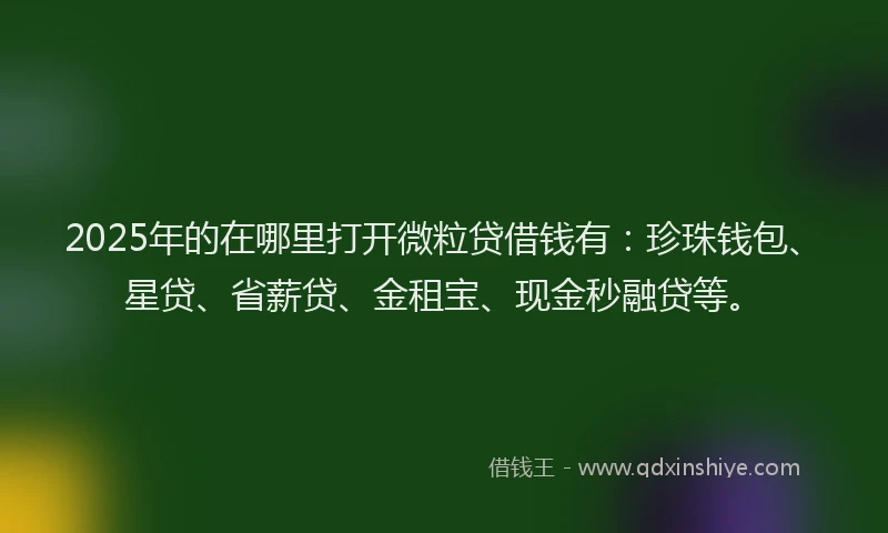 2025年的在哪里打开微粒贷借钱有：珍珠钱包、星贷、省薪贷、金租宝、现金秒融贷等。