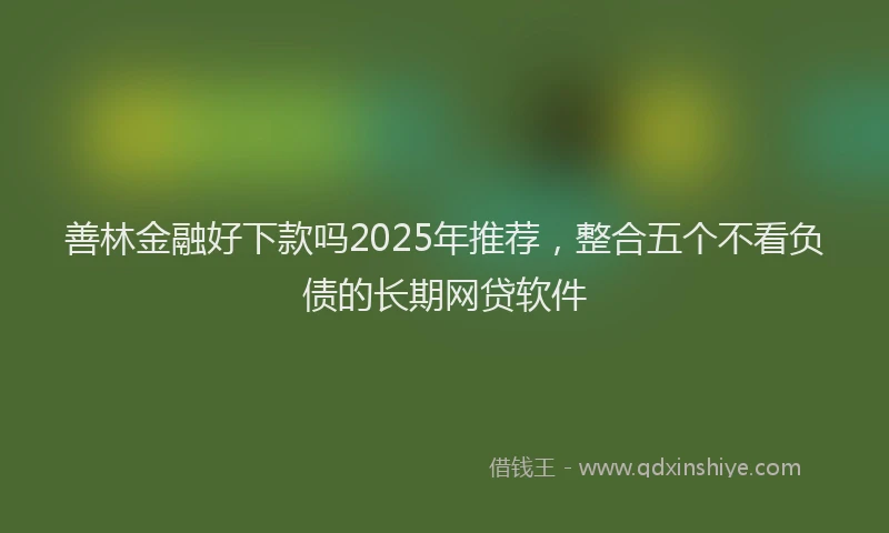 善林金融好下款吗2025年推荐，整合五个不看负债的长期网贷软件