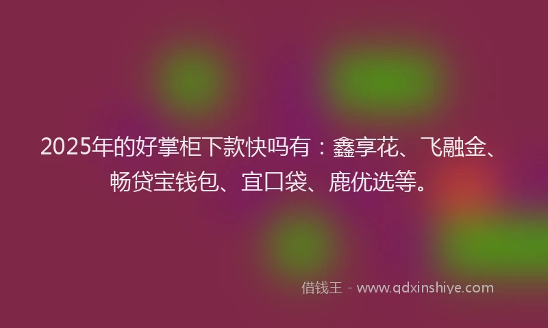 2025年的好掌柜下款快吗有：鑫享花、飞融金、畅贷宝钱包、宜口袋、鹿优选等。