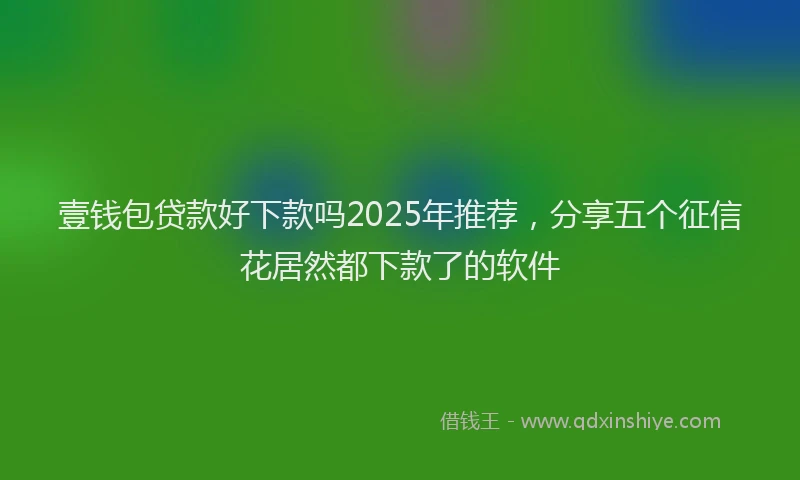 壹钱包贷款好下款吗2025年推荐，分享五个征信花居然都下款了的软件
