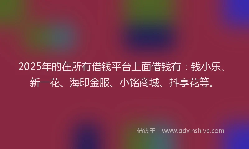 2025年的在所有借钱平台上面借钱有：钱小乐、新一花、海印金服、小铭商城、抖享花等。