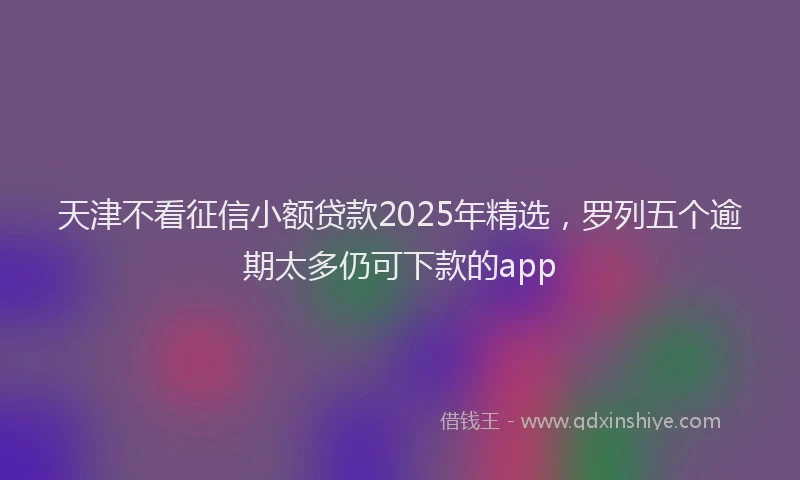 天津不看征信小额贷款2025年精选，罗列五个逾期太多仍可下款的app