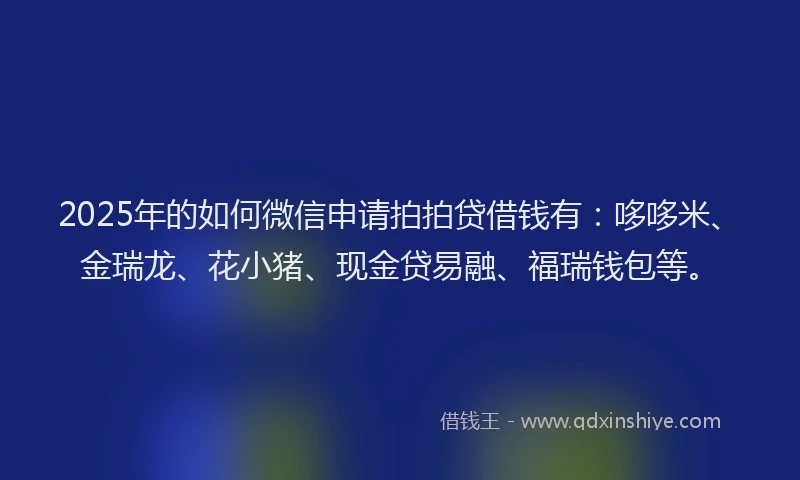 2025年的如何微信申请拍拍贷借钱有：哆哆米、金瑞龙、花小猪、现金贷易融、福瑞钱包等。