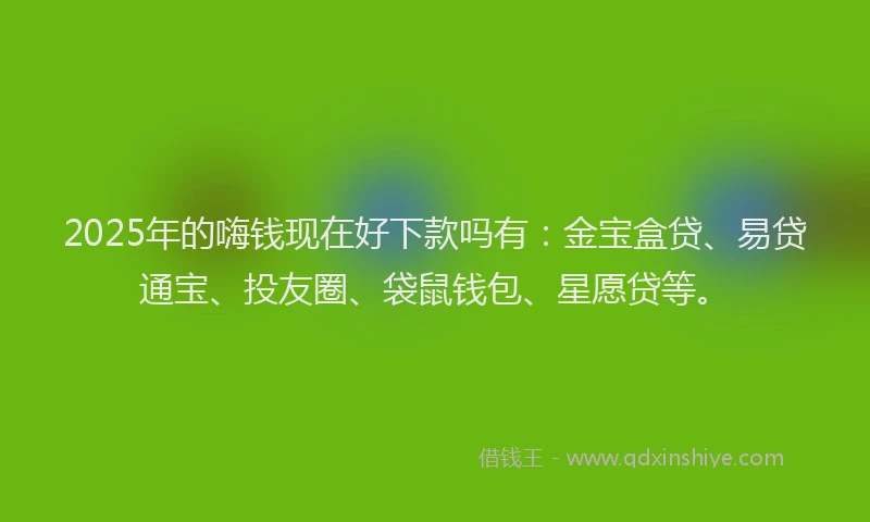 2025年的嗨钱现在好下款吗有：金宝盒贷、易贷通宝、投友圈、袋鼠钱包、星愿贷等。