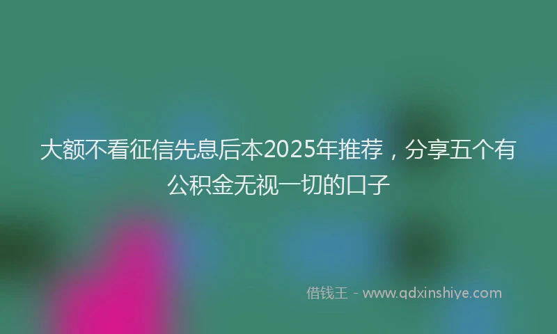 大额不看征信先息后本2025年推荐，分享五个有公积金无视一切的口子