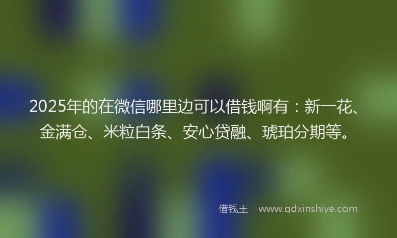 2025年的在微信哪里边可以借钱啊有：新一花、金满仓、米粒白条、安心贷融、琥珀分期等。
