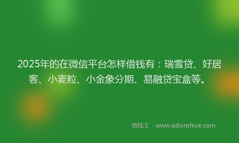 2025年的在微信平台怎样借钱有：瑞雪贷、好居客、小麦粒、小金象分期、易融贷宝盒等。