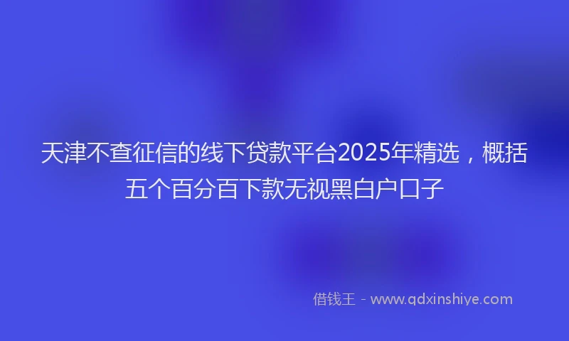 天津不查征信的线下贷款平台2025年精选，概括五个百分百下款无视黑白户口子