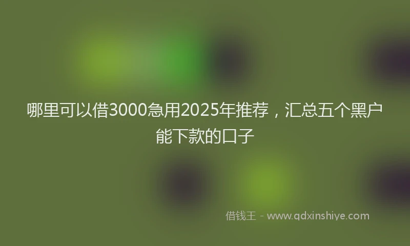 哪里可以借3000急用2025年推荐，汇总五个黑户能下款的口子