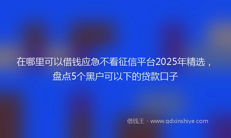 在哪里可以借钱应急不看征信平台2025年精选，盘点5个黑户可以下的贷款口子