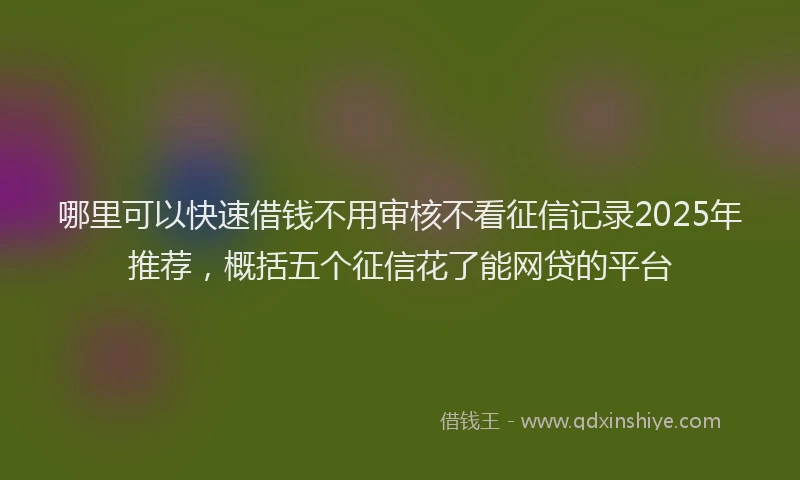 哪里可以快速借钱不用审核不看征信记录2025年推荐，概括五个征信花了能网贷的平台