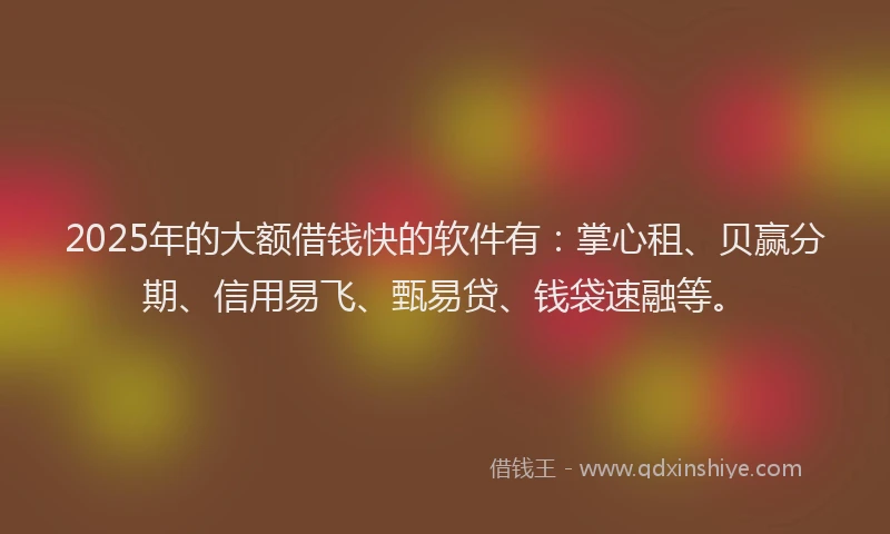 2025年的大额借钱快的软件有：掌心租、贝赢分期、信用易飞、甄易贷、钱袋速融等。