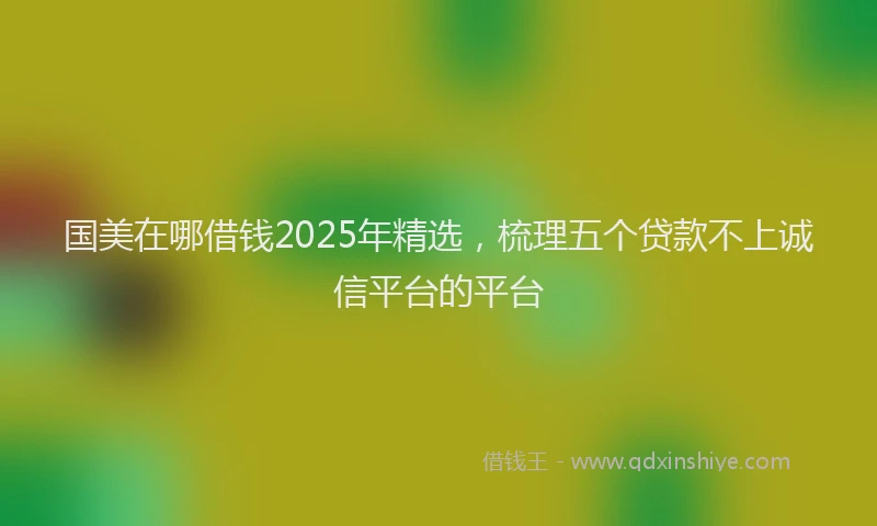 国美在哪借钱2025年精选，梳理五个贷款不上诚信平台的平台