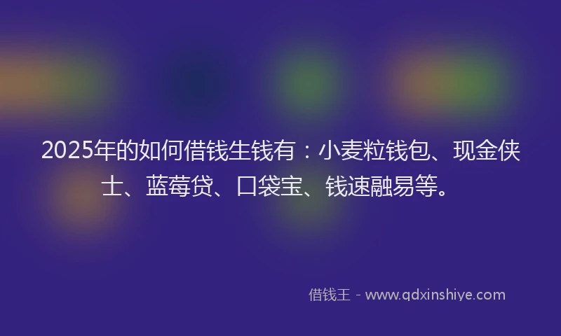 2025年的如何借钱生钱有：小麦粒钱包、现金侠士、蓝莓贷、口袋宝、钱速融易等。