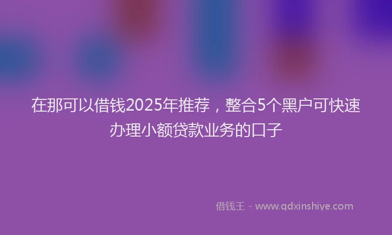 在那可以借钱2025年推荐，整合5个黑户可快速办理小额贷款业务的口子