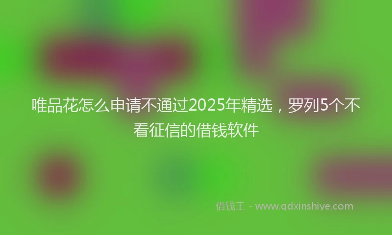 唯品花怎么申请不通过2025年精选，罗列5个不看征信的借钱软件