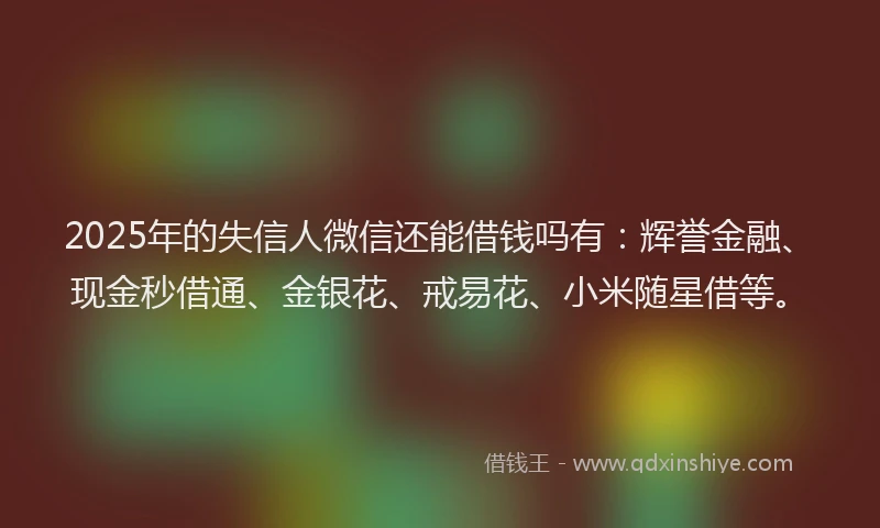 2025年的失信人微信还能借钱吗有：辉誉金融、现金秒借通、金银花、戒易花、小米随星借等。