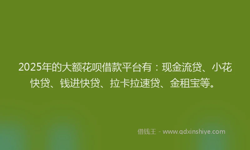 2025年的大额花呗借款平台有：现金流贷、小花快贷、钱进快贷、拉卡拉速贷、金租宝等。