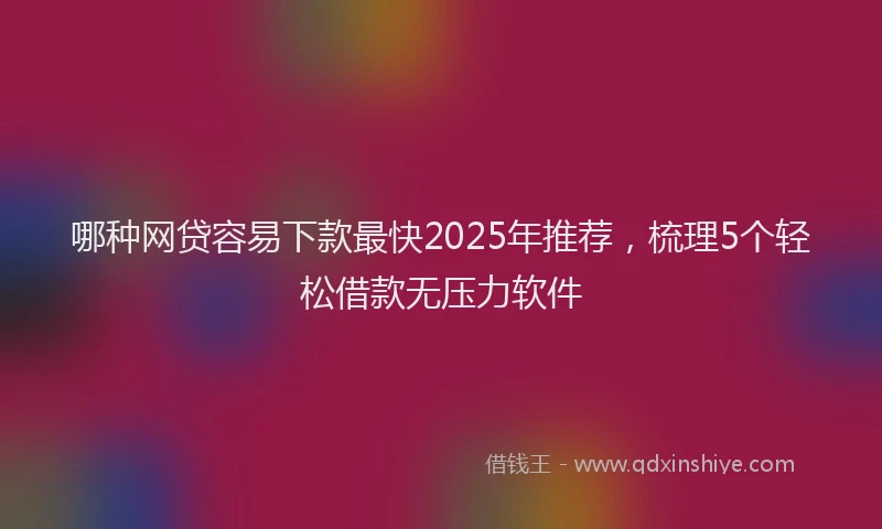 哪种网贷容易下款最快2025年推荐，梳理5个轻松借款无压力软件