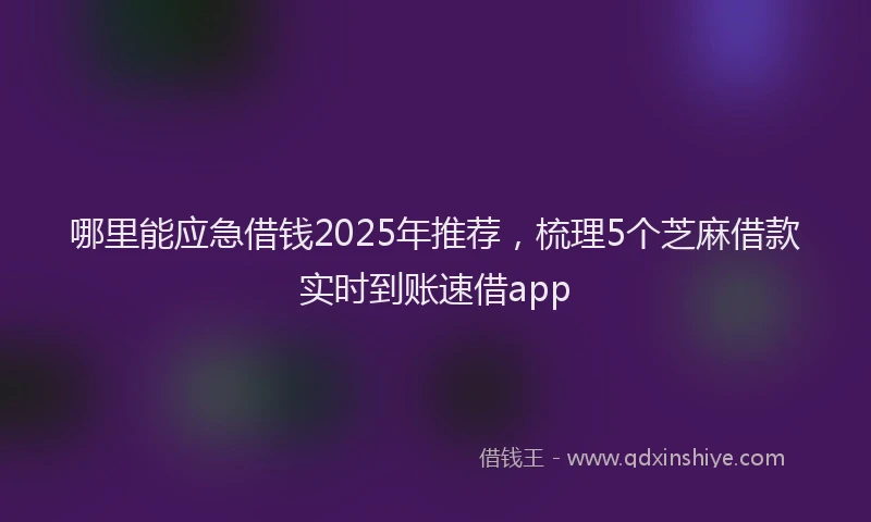 哪里能应急借钱2025年推荐，梳理5个芝麻借款实时到账速借app