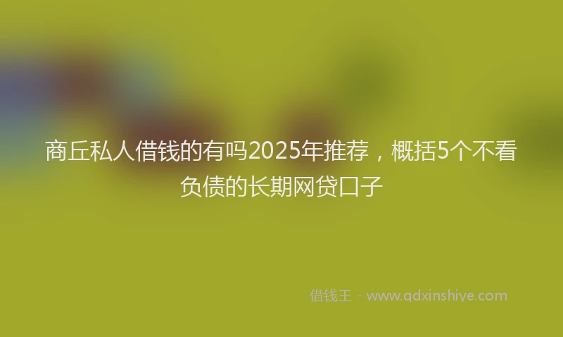 商丘私人借钱的有吗2025年推荐，概括5个不看负债的长期网贷口子