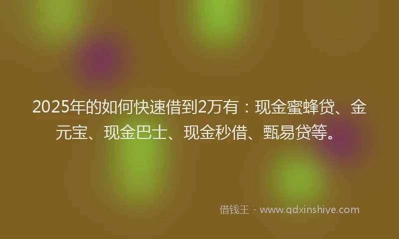 2025年的如何快速借到2万有：现金蜜蜂贷、金元宝、现金巴士、现金秒借、甄易贷等。