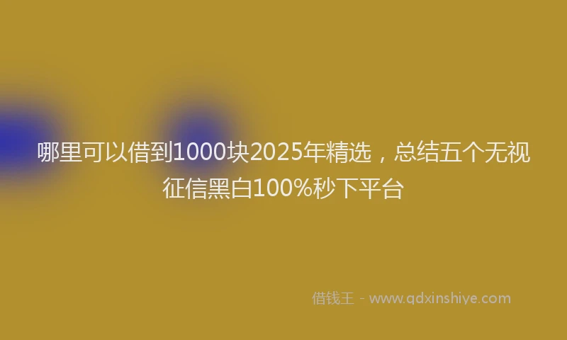 哪里可以借到1000块2025年精选，总结五个无视征信黑白100%秒下平台