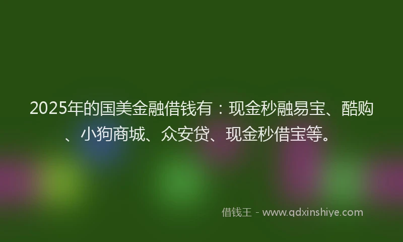 2025年的国美金融借钱有：现金秒融易宝、酷购、小狗商城、众安贷、现金秒借宝等。